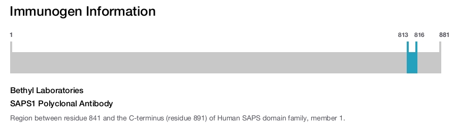 SAPS1 Polyclonal Antibody