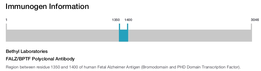 FALZ/BPTF Polyclonal Antibody