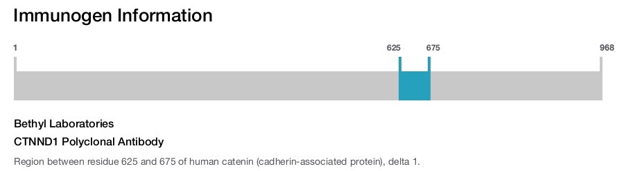 CTNND1 Polyclonal Antibody