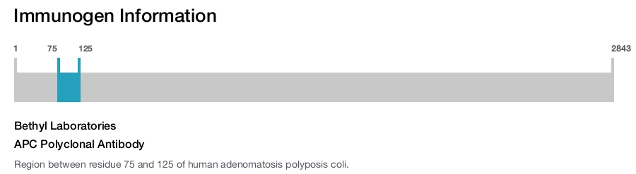 APC Polyclonal Antibody