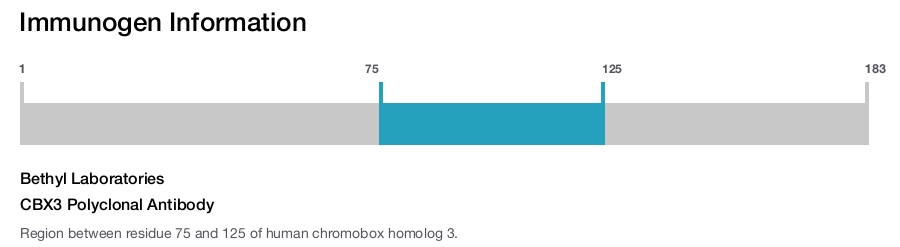 CBX3 Polyclonal Antibody