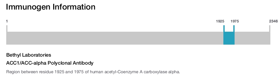 ACC1/ACC-alpha Polyclonal Antibody