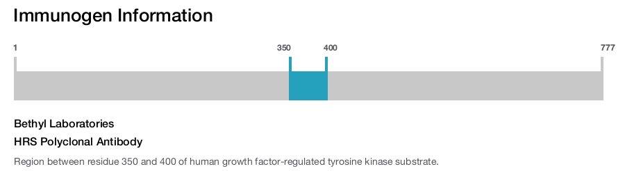 HRS Polyclonal Antibody