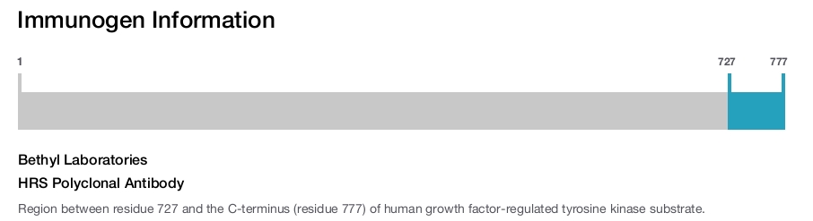 HRS Polyclonal Antibody