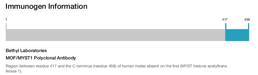 MOF/MYST1 Polyclonal Antibody