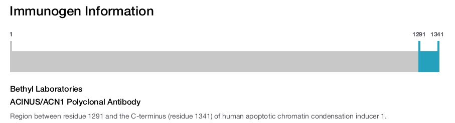 ACINUS/ACN1 Polyclonal Antibody