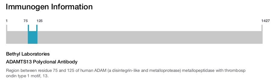 ADAMTS13 Polyclonal Antibody