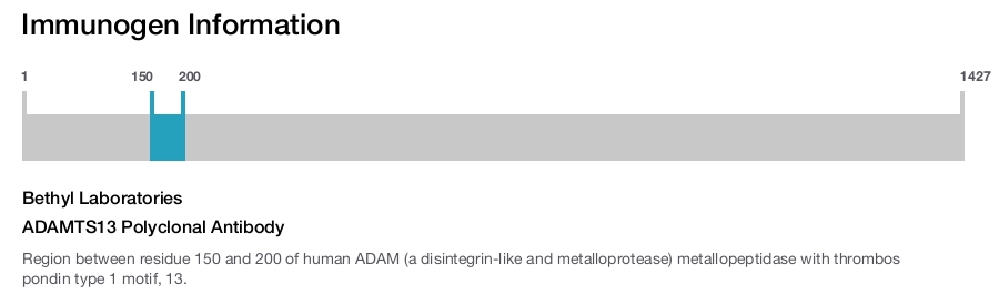 ADAMTS13 Polyclonal Antibody