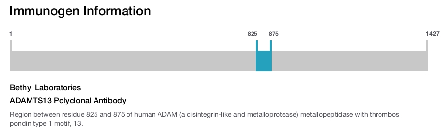 ADAMTS13 Polyclonal Antibody