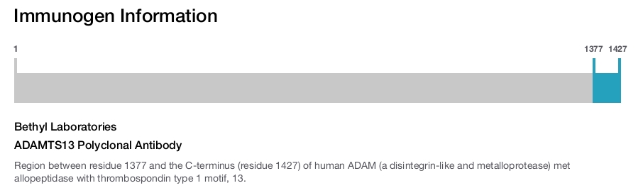 ADAMTS13 Polyclonal Antibody