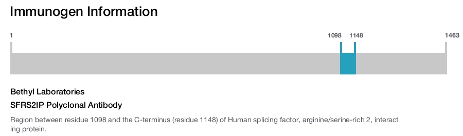 SFRS2IP Polyclonal Antibody