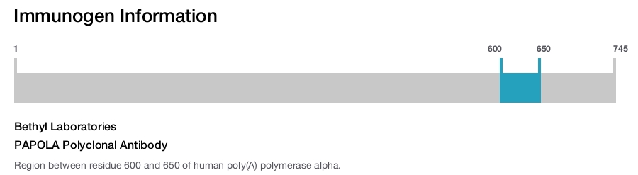 PAPOLA Polyclonal Antibody