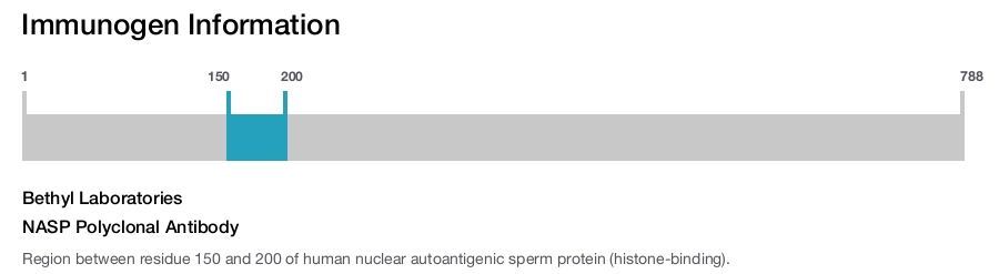 NASP Polyclonal Antibody