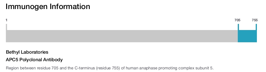 APC5 Polyclonal Antibody