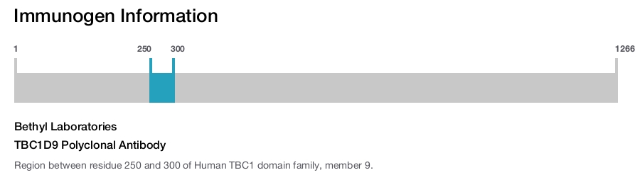 TBC1D9 Polyclonal Antibody
