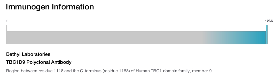 TBC1D9 Polyclonal Antibody