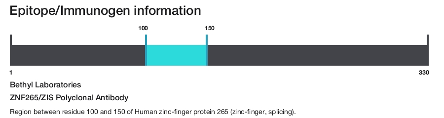 ZNF265/ZIS Polyclonal Antibody
