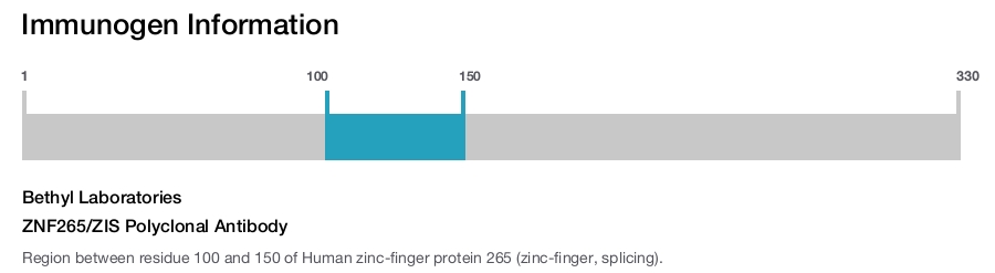 ZNF265/ZIS Polyclonal Antibody
