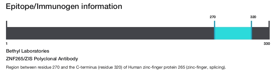 ZNF265/ZIS Polyclonal Antibody