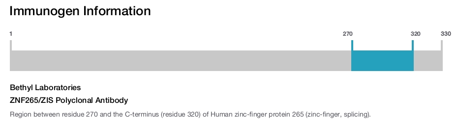 ZNF265/ZIS Polyclonal Antibody