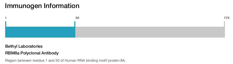 RBM8a Polyclonal Antibody