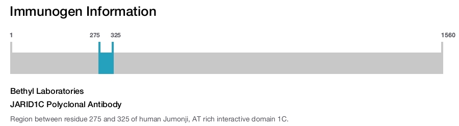 JARID1C Polyclonal Antibody