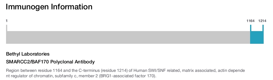SMARCC2/BAF170 Polyclonal Antibody