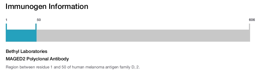 MAGED2 Polyclonal Antibody
