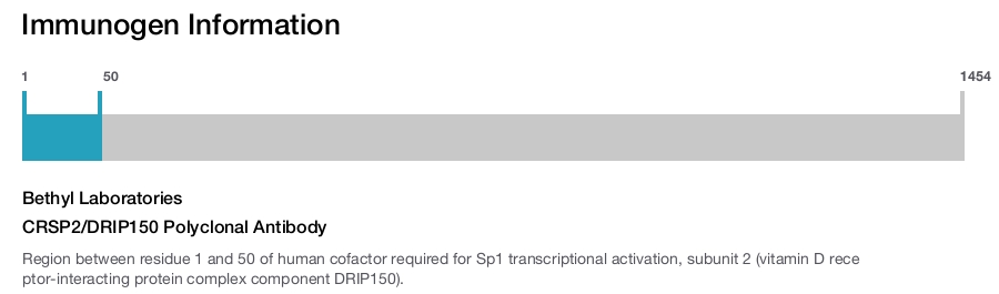 CRSP2/DRIP150 Polyclonal Antibody