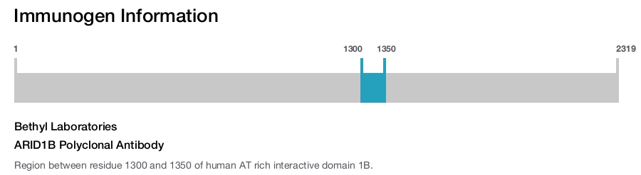 ARID1B Polyclonal Antibody