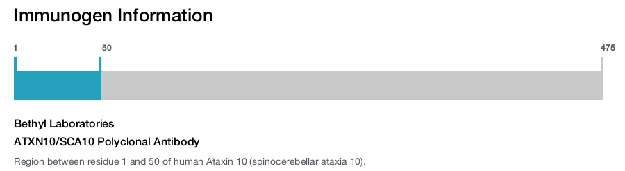 ATXN10/SCA10 Polyclonal Antibody