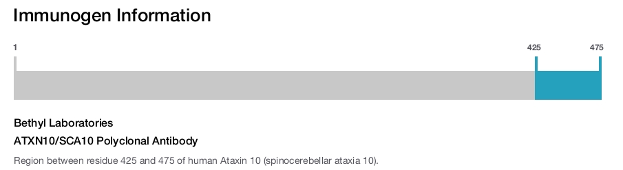 ATXN10/SCA10 Polyclonal Antibody