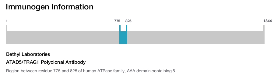 ATAD5/FRAG1 Polyclonal Antibody