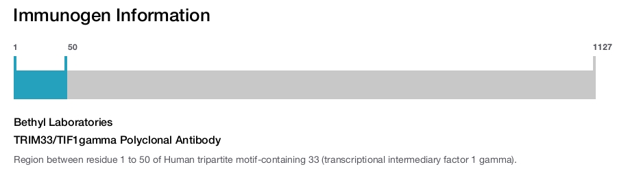 TRIM33/TIF1gamma Polyclonal Antibody