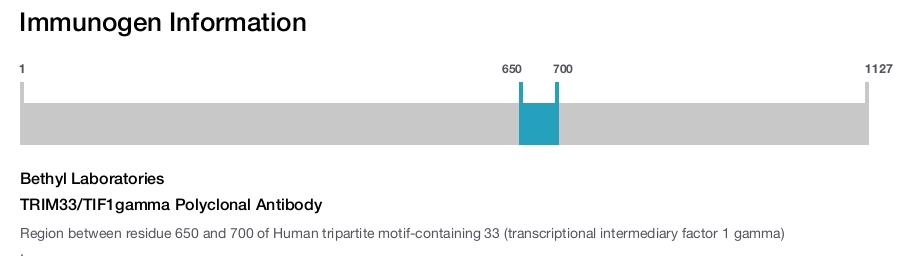 TRIM33/TIF1gamma Polyclonal Antibody