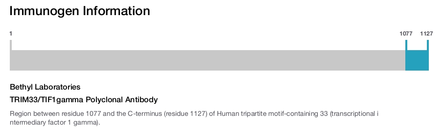 TRIM33/TIF1gamma Polyclonal Antibody
