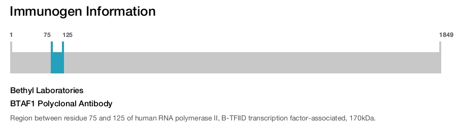 BTAF1 Polyclonal Antibody