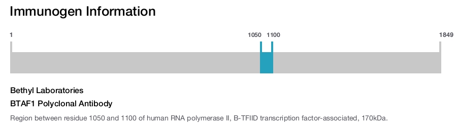 BTAF1 Polyclonal Antibody