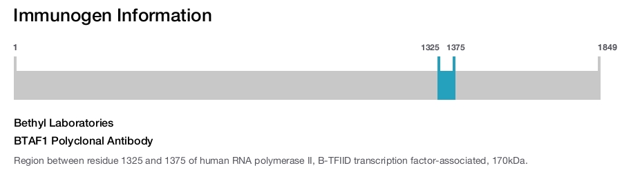 BTAF1 Polyclonal Antibody