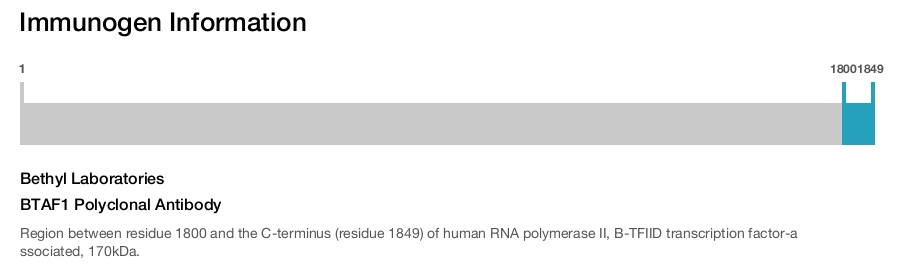 BTAF1 Polyclonal Antibody