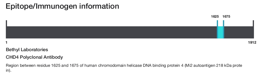 CHD4 Polyclonal Antibody