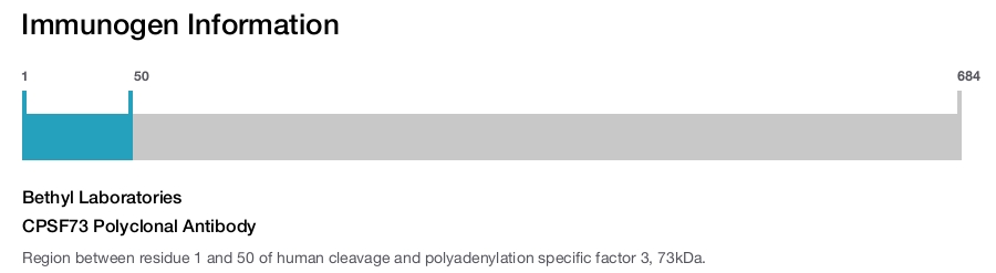 CPSF73 Polyclonal Antibody