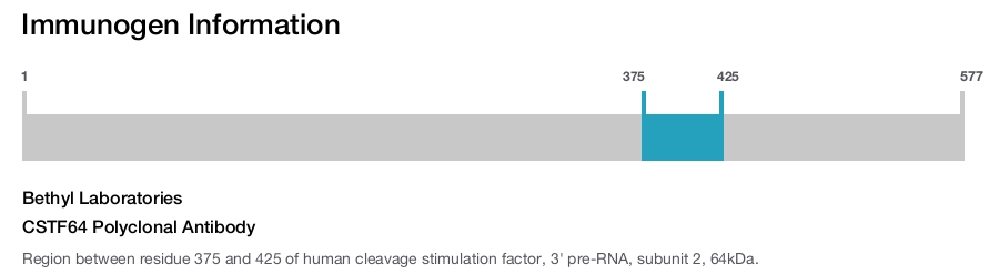 CSTF64 Polyclonal Antibody