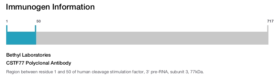 CSTF77 Polyclonal Antibody