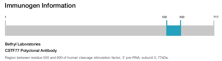 CSTF77 Polyclonal Antibody