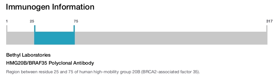 HMG20B/BRAF35 Polyclonal Antibody