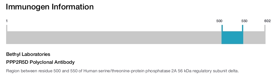 PPP2R5D Polyclonal Antibody