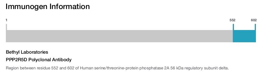 PPP2R5D Polyclonal Antibody