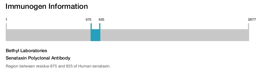 Senataxin Polyclonal Antibody