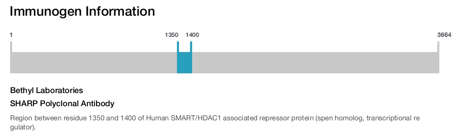 SHARP Polyclonal Antibody